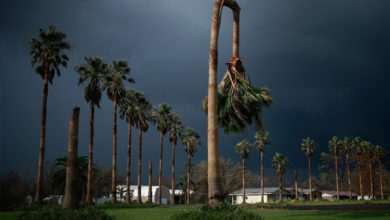 Untitled 3 إعصار إيدا في غاليانو